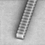 _20230804_on_new_genetic_analysis