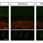 common-supplements-mig