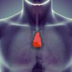 download - 2023-08-07T064453.349