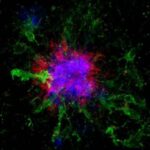 intermittent-fasting-i