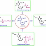new-molecule-could-tre