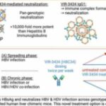 promising-investigatio