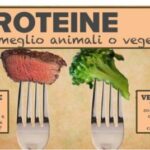 proteine-anim-veget1-1 (1)