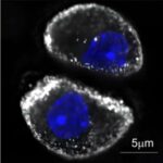 research-identifies-pr