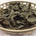 tropical-plant-native