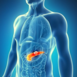 6188f1f31b064683fd8c701c_pancreas