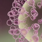 influenza-aviaria-situazione-italia-europa-h5-h5n1-2021