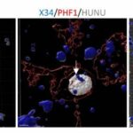 new-study-discovers-ho