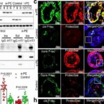 researchers-close-in-o