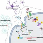 researchers-show-multi-1