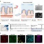revolutionary-breakthr