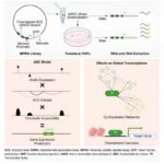 scientists-take-next-b