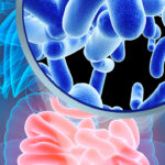 Microbiota-e-infiammazione