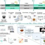 how-plant-derived-nutr-1