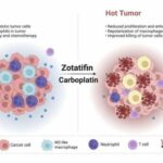 protein-eif4a-emerges