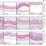 unconventional-approac