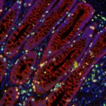 world-first-research-b