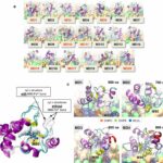potential-new-target-a
