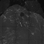 what-happens-when-we-p