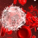 Blood-Cancer-Illustration-777x518