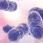 PORPHYROMONAS-GINGIVALIS-750x430