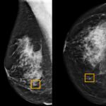 cover_img_06_2020_we