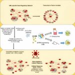 finding-and-targeting