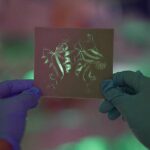 fungus-fighting-protei