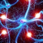 182533513-0f41b9e0-09e0-4cac-a49d-58934345d57a