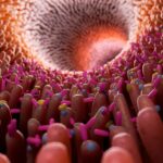 Human-Gut-Microbiome-Illustration-777x583