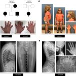 discovery-unravels-the