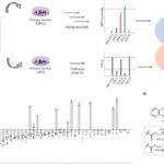 new-immune-system-targ