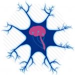 new-leads-for-spinal-c