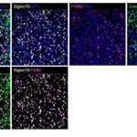 study-unlocks-breakthr-1