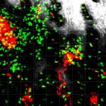 the-secret-life-of-cd4