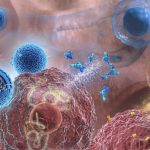 Exosomes-Deliver-IL-12-mRNA-to-Lung-Cancer-Cells