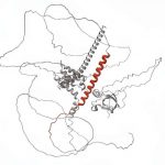 abnormal-proteins-foun