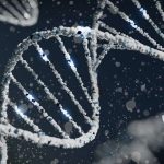 gene-variant