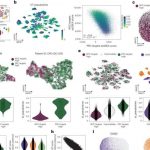 groundbreaking-researc
