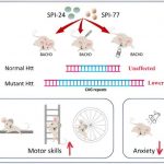 new-drugs-cross-blood