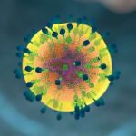 t-cell