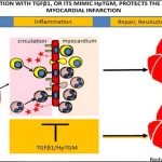 anti-inflammatory-mole