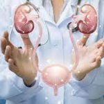 download - 2024-03-07T071119.356