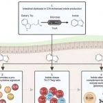 how-a-common-food-ingr