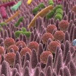 microbiota-intestinale-umano-1280x720