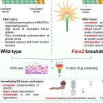 neuroscientists-unveil-1