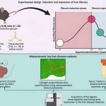 new-insights-could-imp