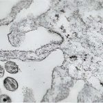 researchers-open-new-l