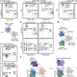 investigators-develop