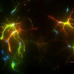 nanomaterial-that-mimi-1